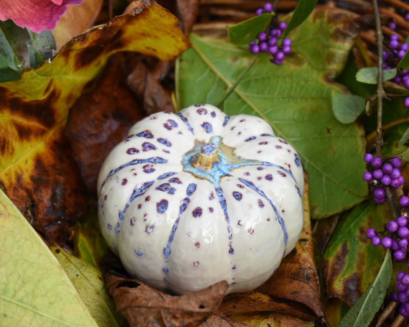 Pumpkin #118