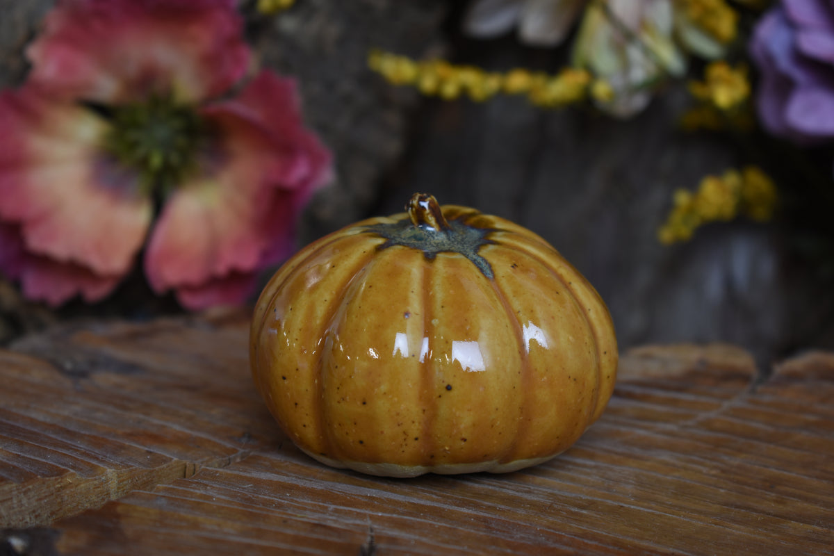 Pumpkin #233