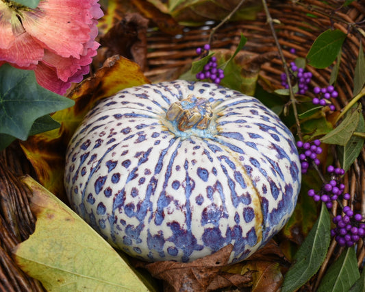 Pumpkin #123