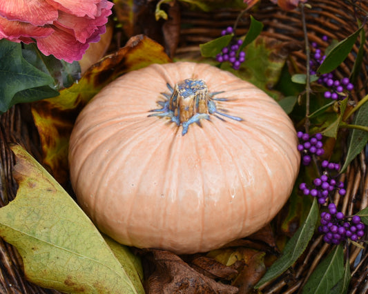 Pumpkin #122