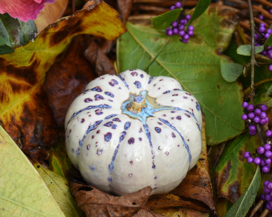 Pumpkin #118