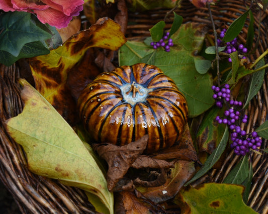 Pumpkin #119