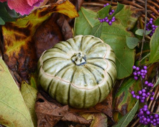 Pumpkin jar #126
