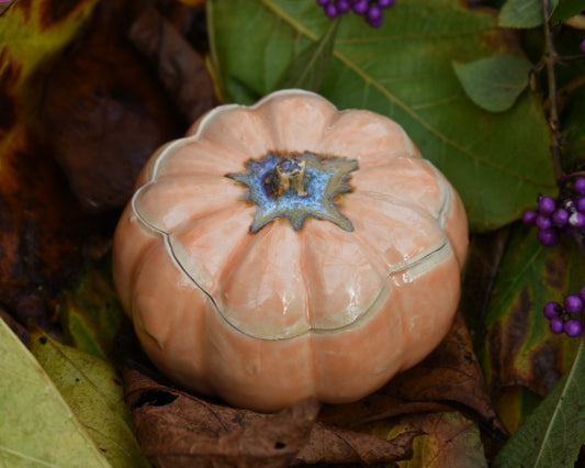 Pumpkin jar #125