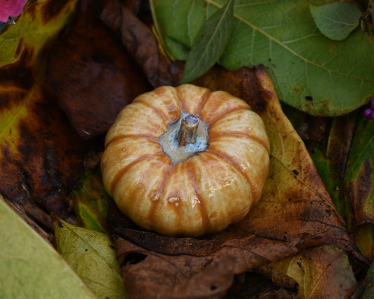 Pumpkin #116