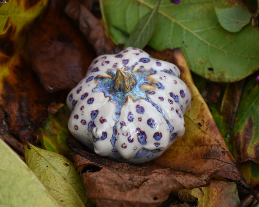 Pumpkin #115