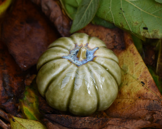 Pumpkin #112