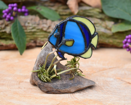 Glass fish #97