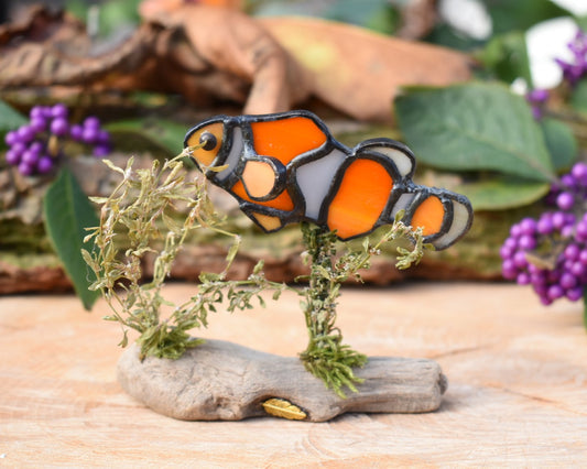 Glass clownfish #102
