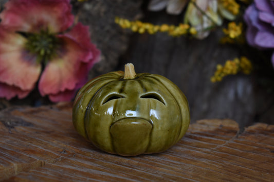 Pumpkin #232
