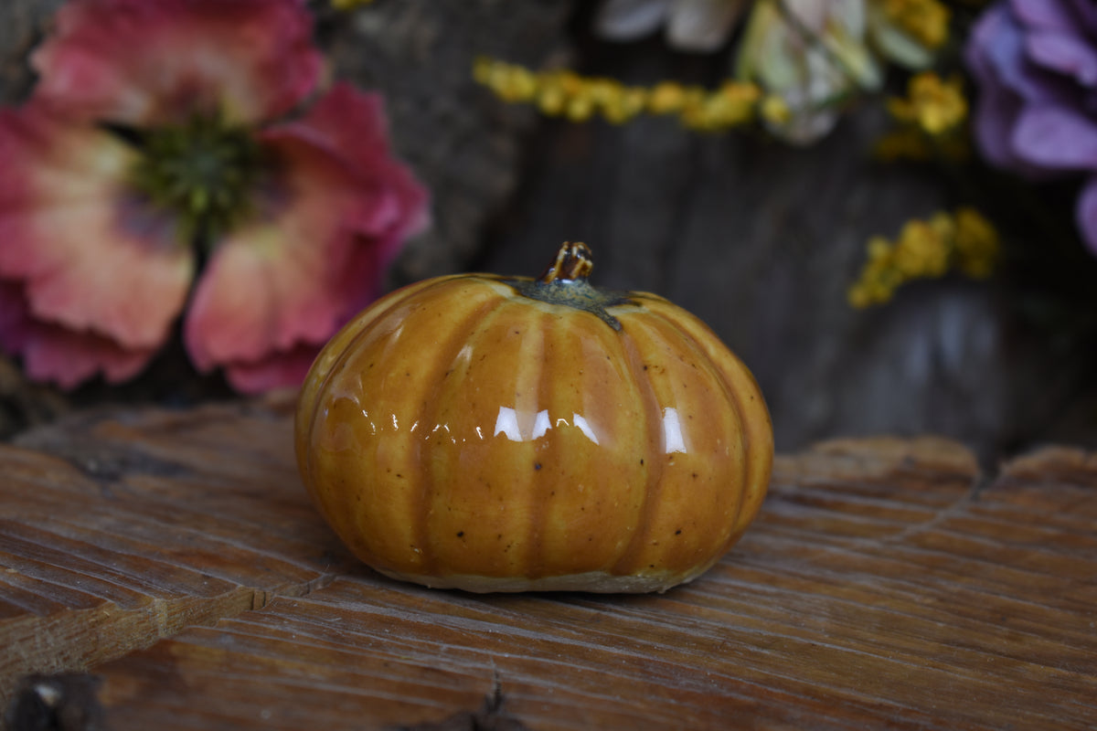 Pumpkin #233