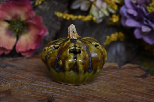 Pumpkin #234