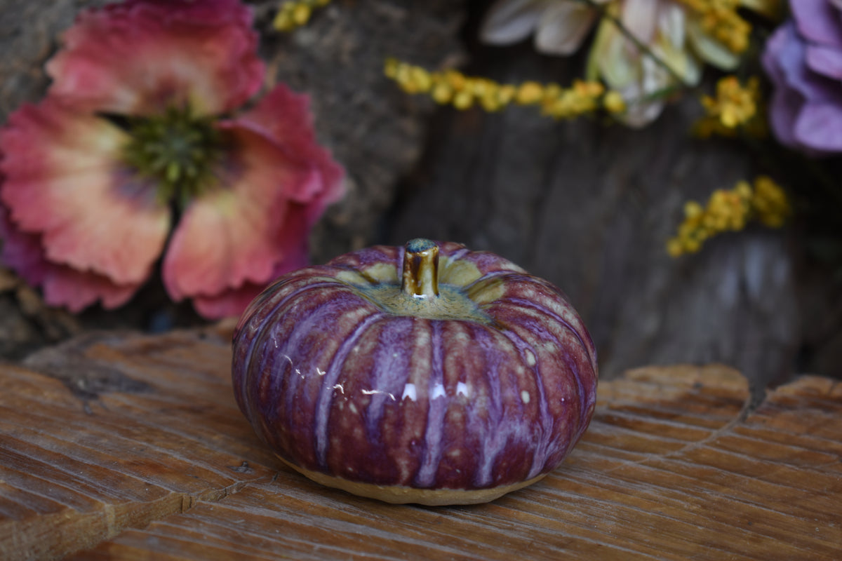 Pumpkin #235