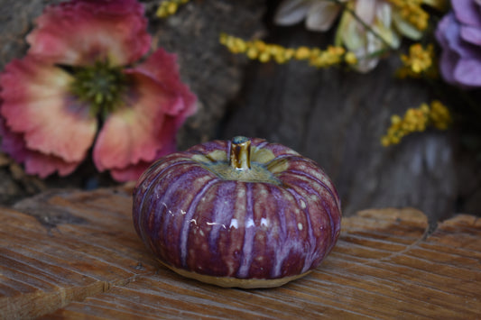 Pumpkin #235