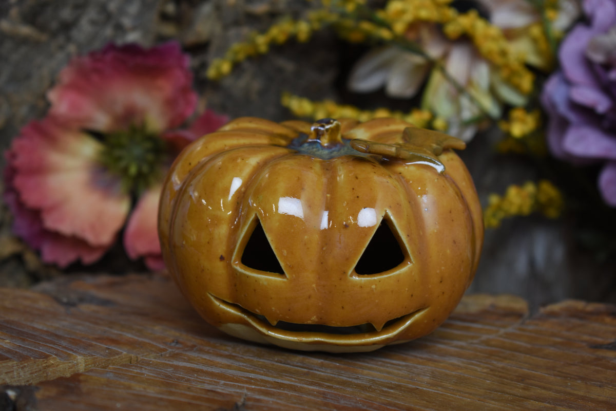 Pumpkin #236