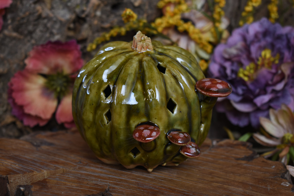 Pumpkin #242