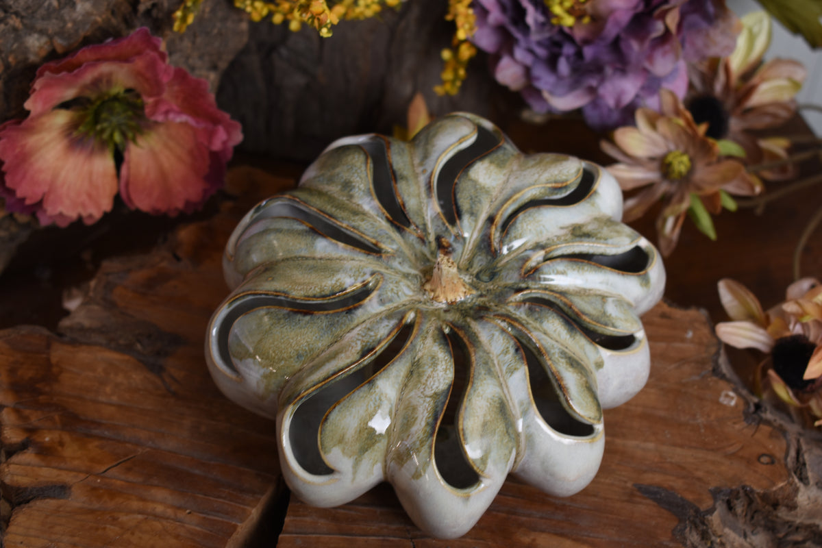 Pumpkin #243
