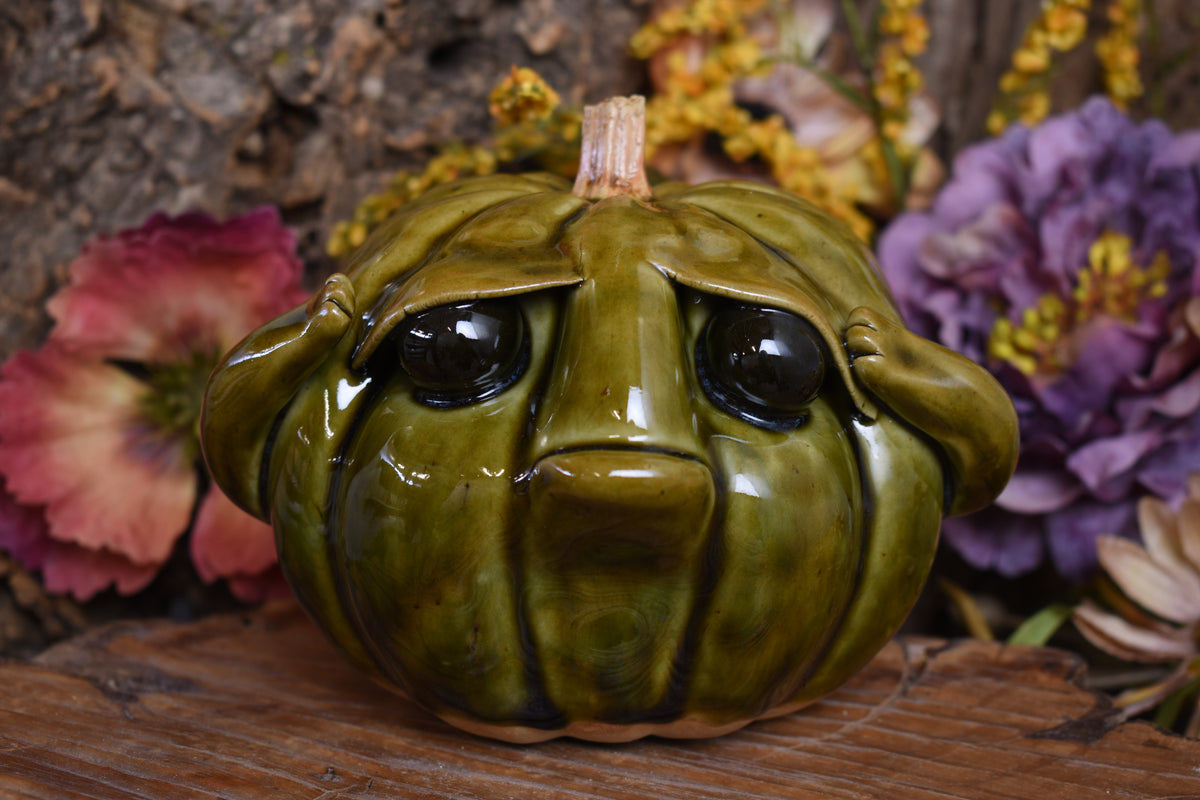 Pumpkin #245