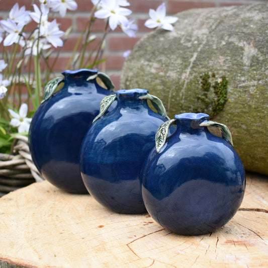 Flasks: blueberry
